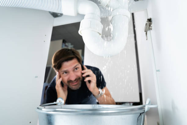 Best Affordable Plumbing Services  in Pleasant View, UT